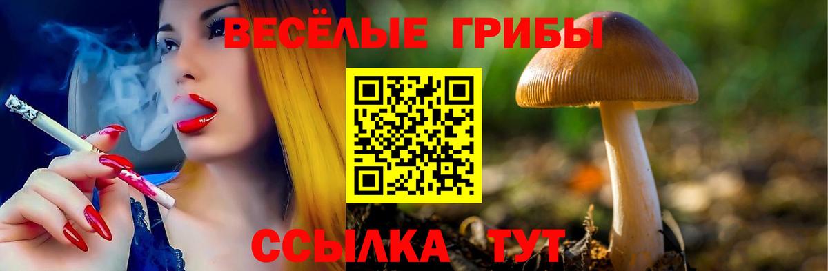 Галлюциногенные грибы Magic Shrooms Нурлат